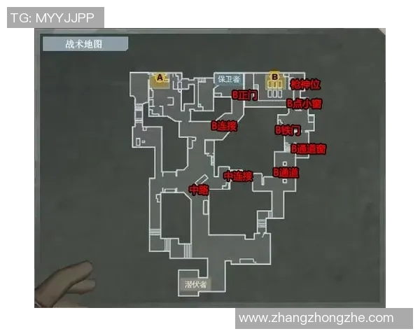 FPX战队在CSGO中如何构建高效进攻体系的深度解析与战术分享